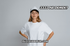 3333 Ne Demek?