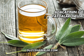 Adaçayının Göze Faydaları Nelerdir?