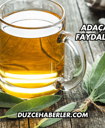 Adaçayının Göze Faydaları Nelerdir?