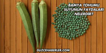 Bamya Tohumu Suyunun Faydaları Nelerdir?