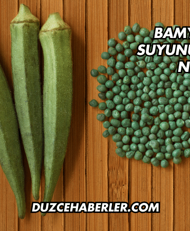 Bamya Tohumu Suyunun Faydaları Nelerdir?