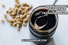 Bebeklerde Dut Pekmezinin Faydaları Nelerdir?