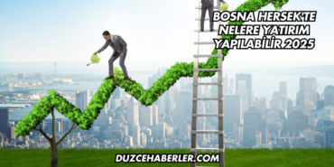 Bosna Hersek'te Nelere Yatırım Yapılabilir 2025