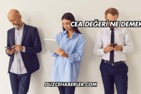 CEA Değeri Ne Demek?