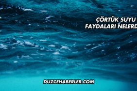 Çörtük Suyu Faydaları Nelerdir?
