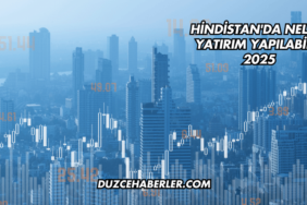 Hindistan'da Nelere Yatırım Yapılabilir 2025