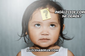 İngilizcede Çorba Ne Demek?