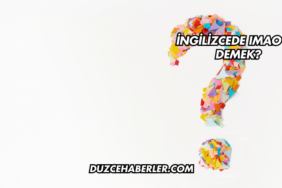 İngilizcede IMAO Ne Demek?