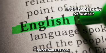 İngilizcede Şahin Ne Demek?