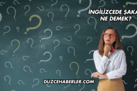 İngilizcede Şakak Ne Demek?
