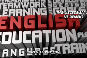 İngilizcede Şayze Ne Demek (2)