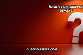 İngilizcede Islak İmza Ne Demek?