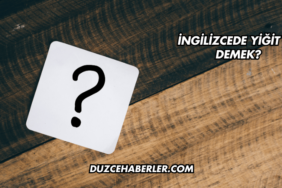İngilizcede Yiğit Ne Demek?