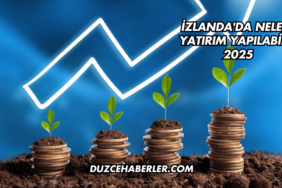 İzlanda'da Nelere Yatırım Yapılabilir 2025