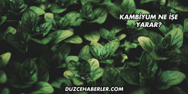 Kambiyum Ne İşe Yarar?