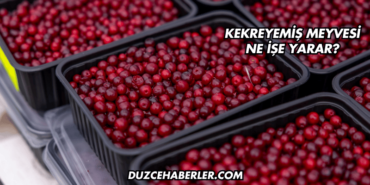 Kekreyemiş Meyvesi Ne İşe Yarar?