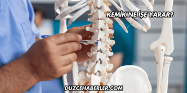 Kemik Ne İşe Yarar?