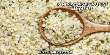 Kenevir Tohumu Tozu Ne İşe Yarar?