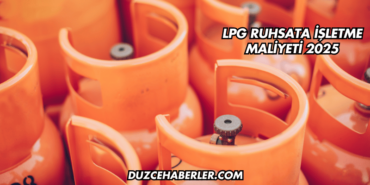 LPG Ruhsata İşletme Maliyeti 2025