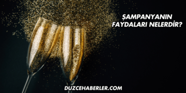 Şampanyanın Faydaları Nelerdir?