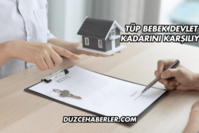 Tüp Bebek Devlet Ne Kadarını Karşılıyor?