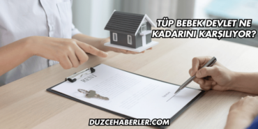 Tüp Bebek Devlet Ne Kadarını Karşılıyor?