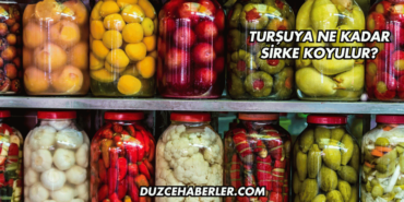 Turşuya Ne Kadar Sirke Koyulur?
