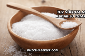 Tuz Vücutta Ne Kadar Su Tutar?