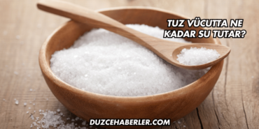 Tuz Vücutta Ne Kadar Su Tutar?