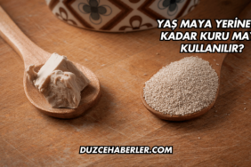 Yaş Maya Yerine Ne Kadar Kuru Maya Kullanılır?