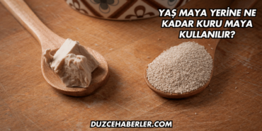 Yaş Maya Yerine Ne Kadar Kuru Maya Kullanılır?