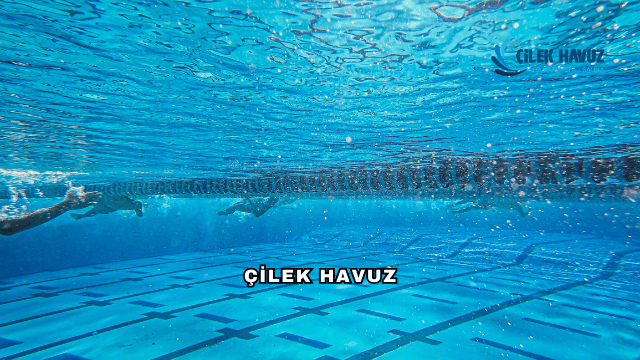Çilek Havuz'un Sunduğu Hizmetler