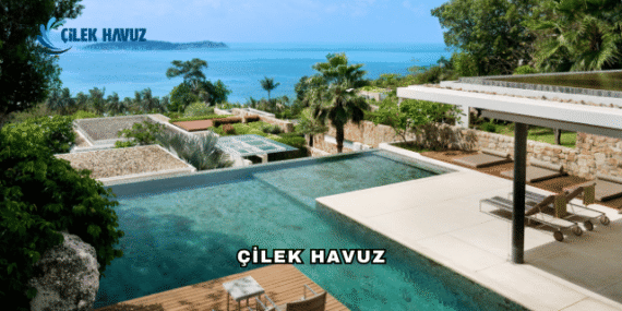 Çilek Havuz'un Sunduğu Hizmetler