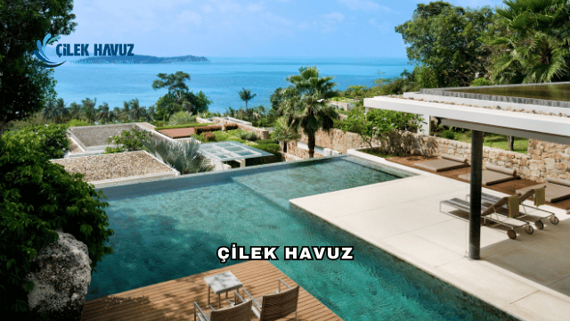 Çilek Havuz'un Sunduğu Hizmetler